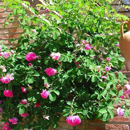 Casa rural Borgo Santa Maria *